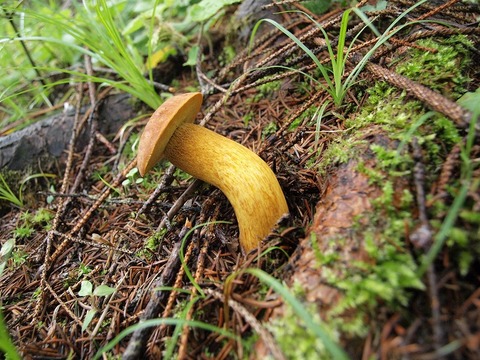 20140723-8.jpg