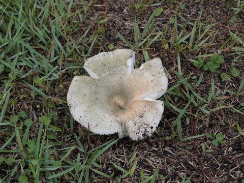 20140813-3.jpg