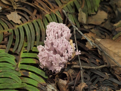 20140903-2.jpg