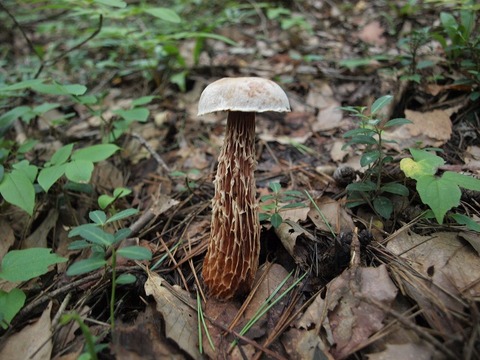 20140903-4.jpg