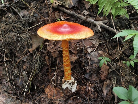 20140903-8.jpg