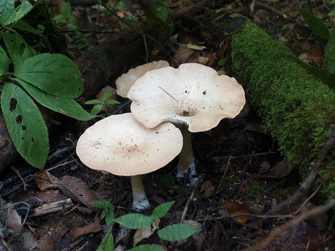20141015-08.jpg