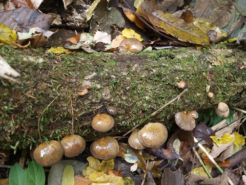 20141112-1.jpg