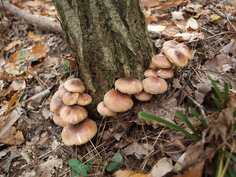 20141112-3.jpg
