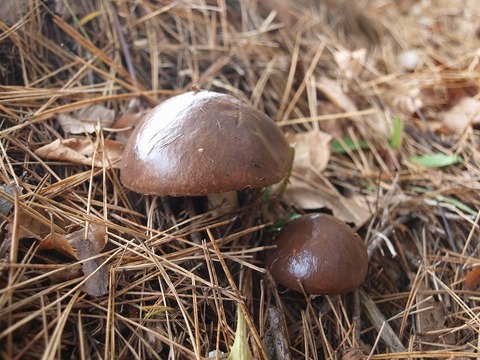 20141112-4.jpg
