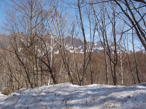 20150422-7.jpg