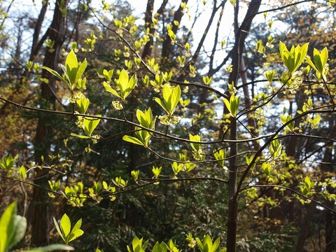 20150429-3.jpg