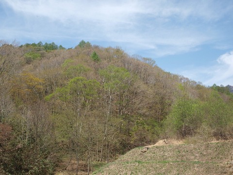 20150507-11.jpg