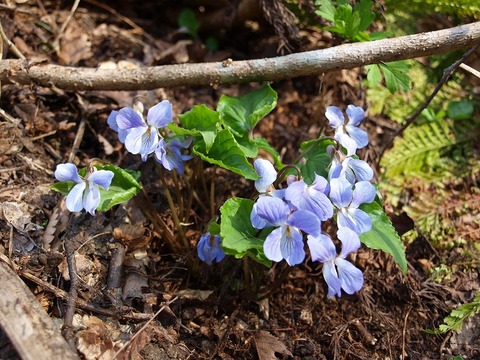 20150507-2.jpg