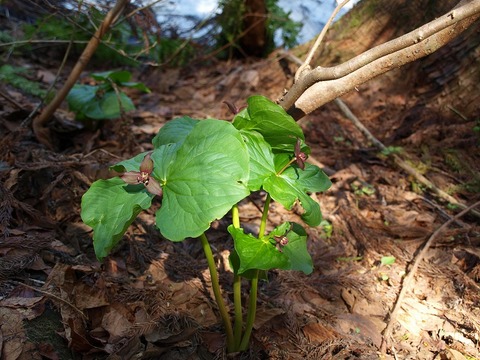 20150507-3.jpg