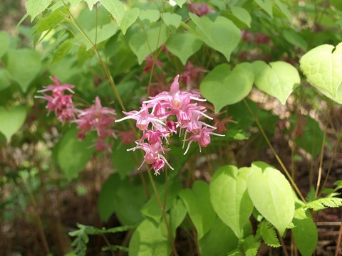 20150507-4.jpg