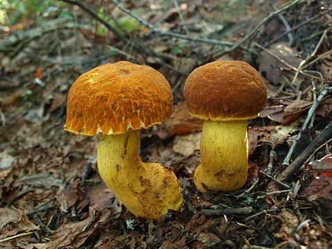 20150805-2.jpg