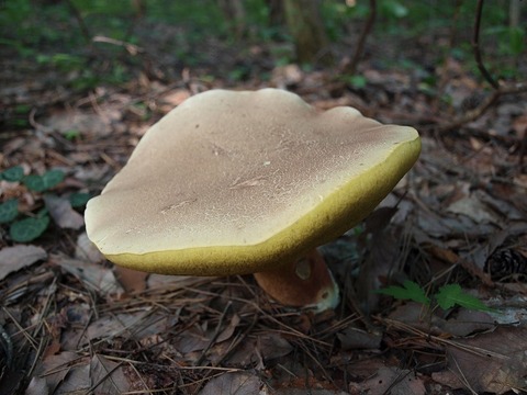 20150812-2.jpg