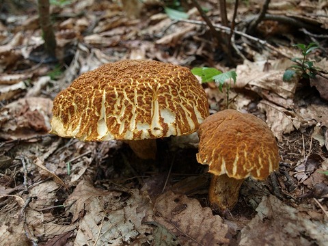 20150812-3.jpg