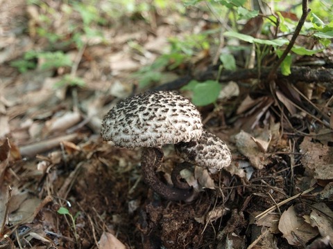 20150812-5.jpg