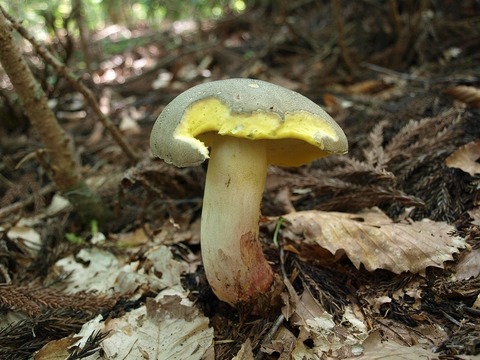 20150812-6.jpg
