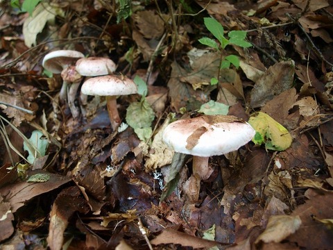 20170925-2.jpg