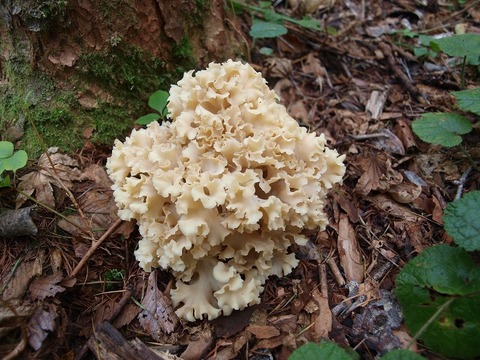 20170925-9.jpg