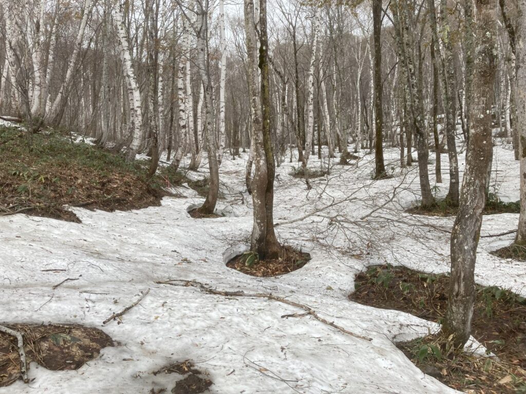 残雪