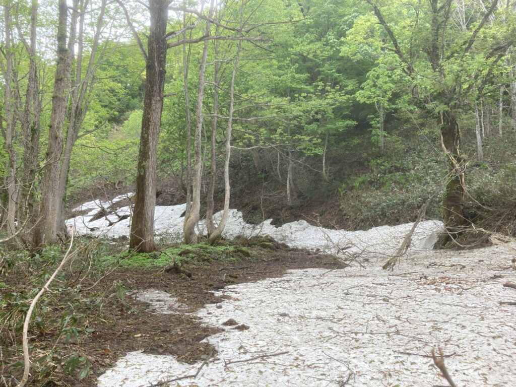 残雪