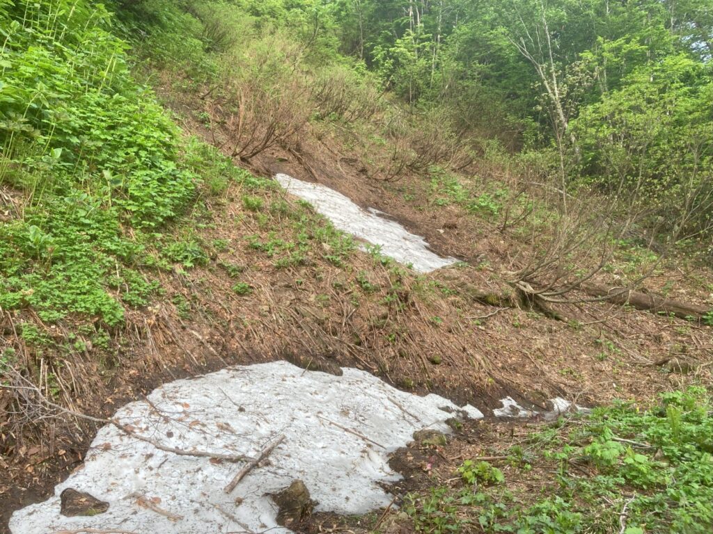 高原の残雪