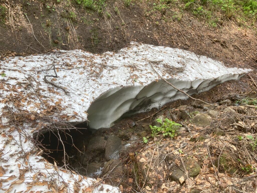 高原の残雪